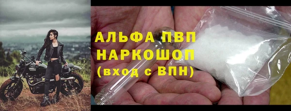 МДПВ Ельня