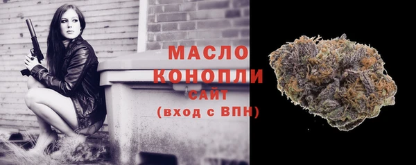 МДПВ Ельня