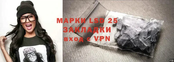 МДПВ Ельня
