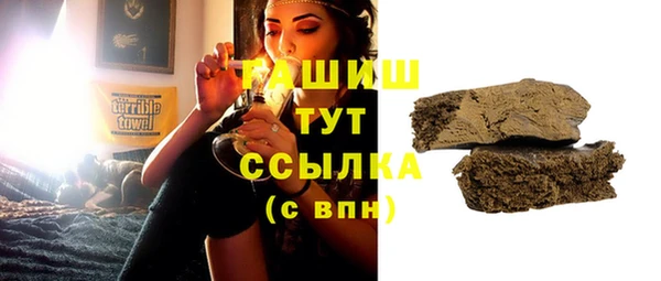 МДПВ Ельня