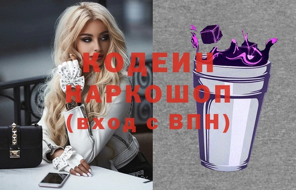 МДПВ Ельня