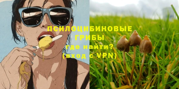 ECSTASY Елабуга