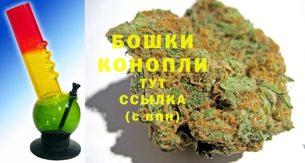 сатива Елизово