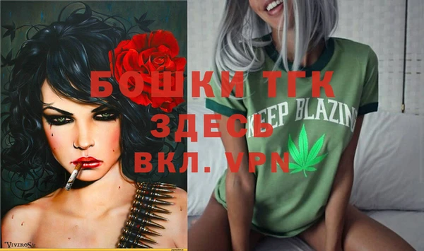 МДПВ Ельня