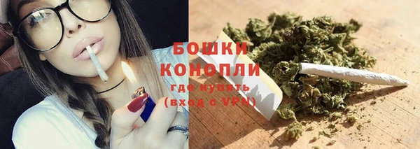 сатива Елизово