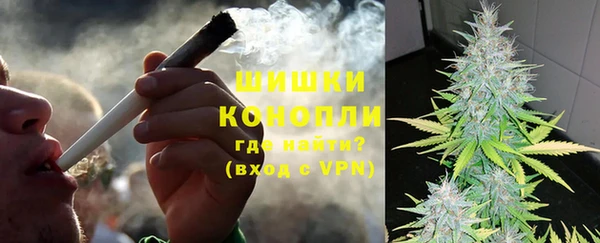 МДПВ Ельня